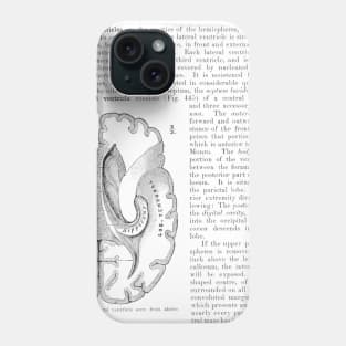 Antique Anatomy Papers Neck Gator Lateral Ventricle Anatomy Phone Case