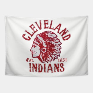 Cleveland Indians (NFL) Tapestry