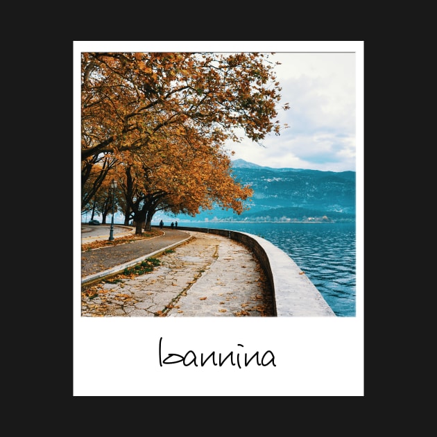 Ioannina by greekcorner