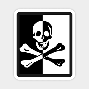 Skull Cross Bones Pirate Skeleton Magnet