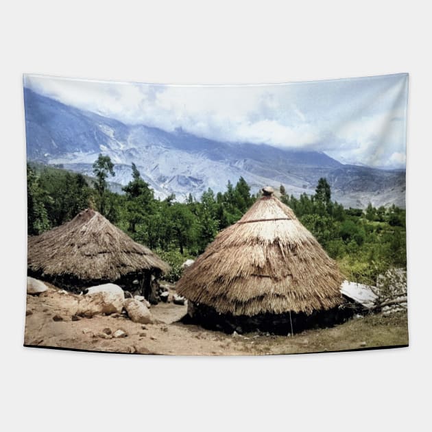 Colorized Vintage Photo of Andes Mountains Dwellings Tapestry by In Memory of Jerry Frank