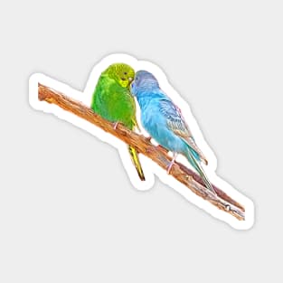 Cute budgies beaking Magnet