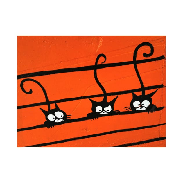 THREE BLACK CATS - between the ORANGE LINES by mister-john