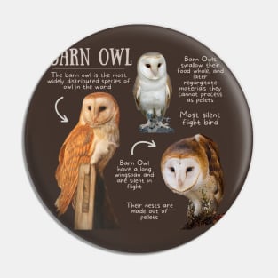 Animal Facts - Barn Owl Pin