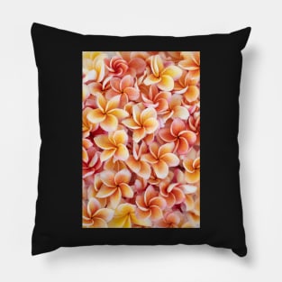 Peach Plumeria Pillow