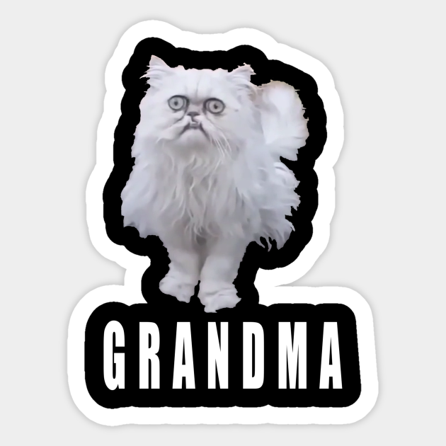 This Stray Cat Looks Like Grandma Meme Cat Autocollant Teepublic Fr