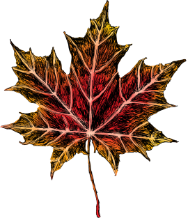 Maple Leaf Art Magnet