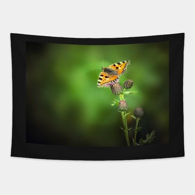 Tortoiseshell Butterfly Tapestry by mrdoomits