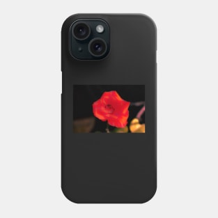 Blur orange rose blossom Phone Case