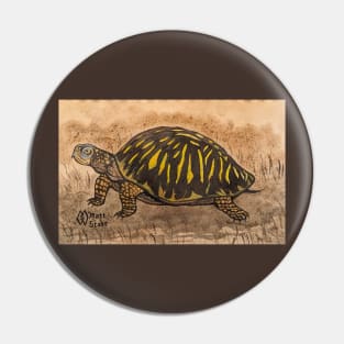 Ornate box turtle study Pin