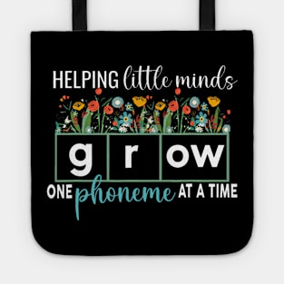 Science of Reading Helping A Little Minds Grow Phonics Tote