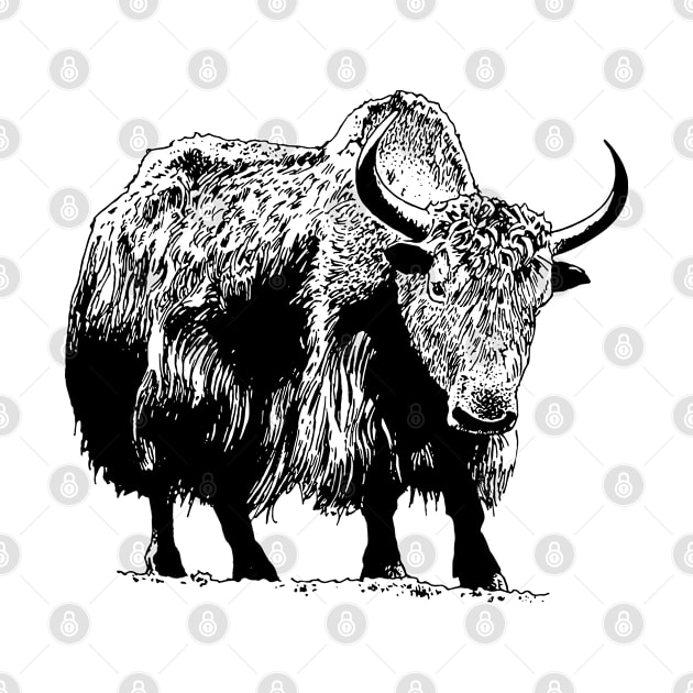 Shaggy Cow Design by penandinkdesign@hotmail.com