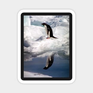 Adelie Penguin in a Reflective Mood Magnet