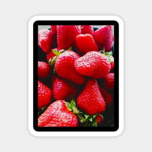 Juicy Red Strawberries Retro Aesthetic Photography Artwork Magnet