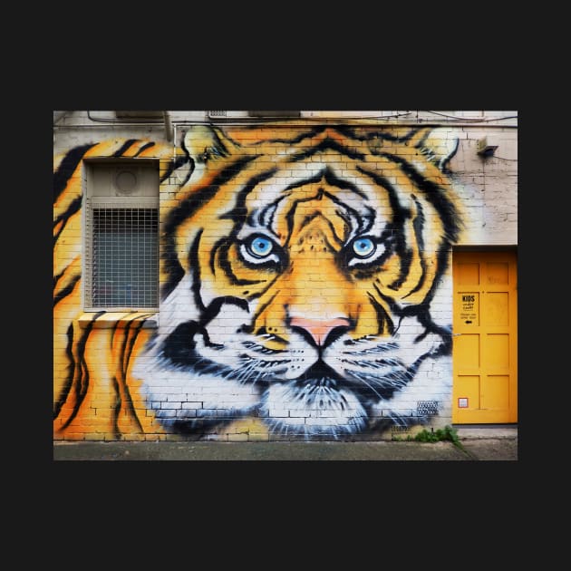 Tiger Graffiti, Abbotsford by rozmcq