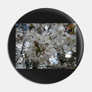 White flowers: Spring time - Flowers, sunshine, happiness and action Pin