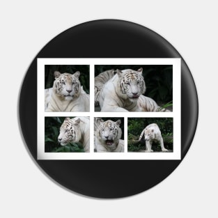 White Tiger Beauty Pin