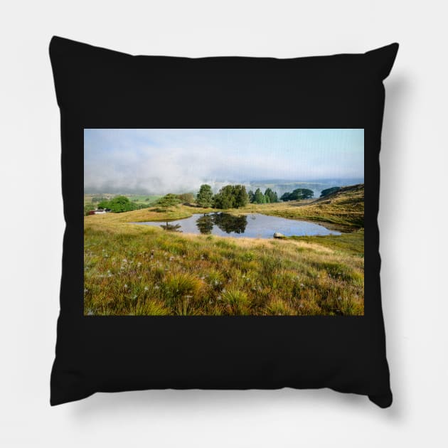 Torver Common Pillow by jldunbar