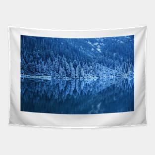 Frozen forest Tapestry