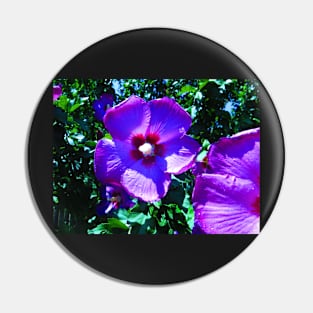 Rose of Sharon Photo Print Pin