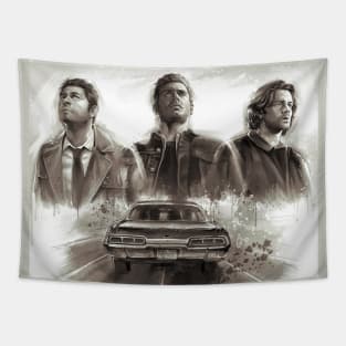 supernatural, dean and sam Tapestry for Sale by alyaST14