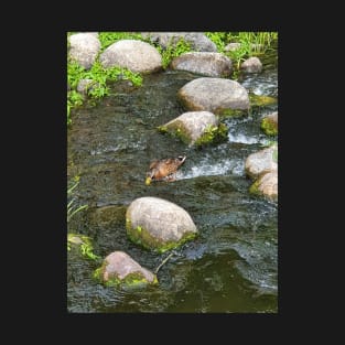 Swimming Duck T-Shirt