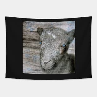 Lambkin | Cute lamb Tapestry