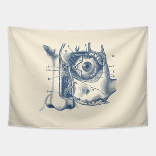 Human Eye and Tear Duct Diagram - Vintage Anatomy Tapestry