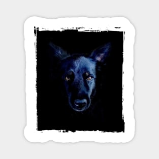 Black Dog Magnet