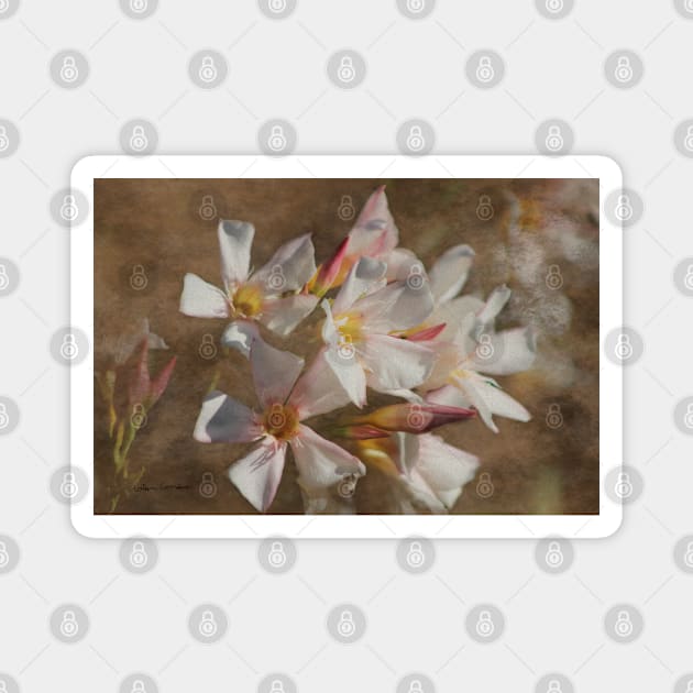 Soft Pink Blush Oleander Digital Art Magnet by ButterflyInTheAttic