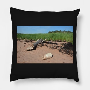 Adrift on the beach Pillow