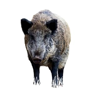 Wild boar T-Shirt