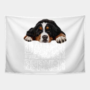 bernese mountain dog Tapestry