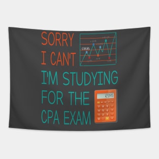 Sorry i can't i'm studing for the cpa exam Funny Accountant Tapestry