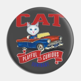 Humor funny white kitty cat driving a vintage classic car to a retro parade with red white and blue flags Pin