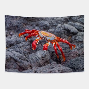 Galapagos Sally Lightfoot Crab Tapestry