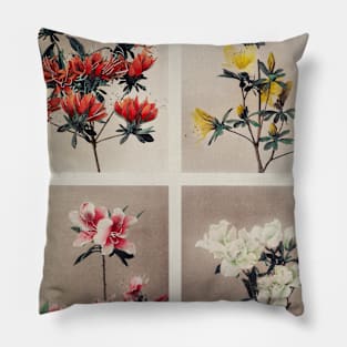 Group of Azaleas, hand–colored collotype Pillow