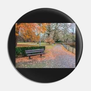 Empty bench in public park in autumn Pin