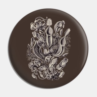 Ernst Haeckel Pitcher Plant Aubergine Pin