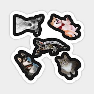 Animal pets Sticker Pack Magnet