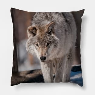 Timber Wolf Pup Pillow