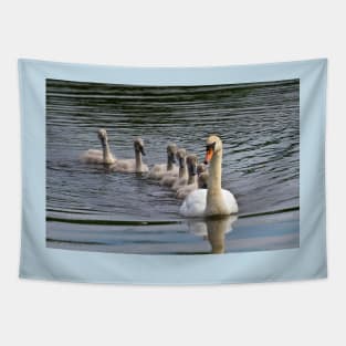 7 Cygnet Crescent Tapestry