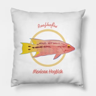 Mexican Hogfish Pillow