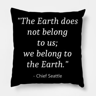 World Environment Day Pillow