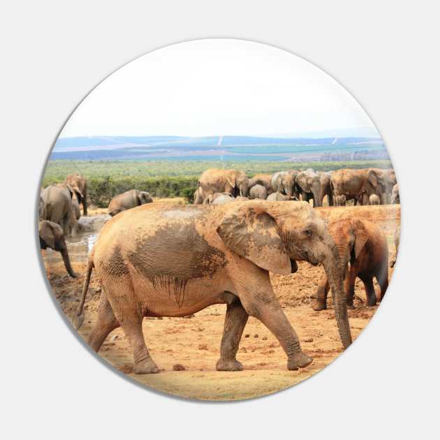 African Wildlife Photography Elephant Cameo Pin by PathblazerStudios