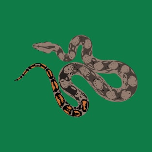 Boa Constrictor T-Shirt