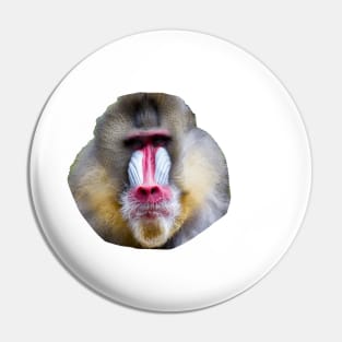 Baboon Pin