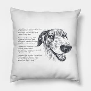 My Comforter poem - Border Collie Pillow