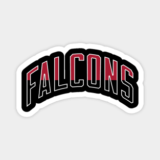 Falcons Magnet