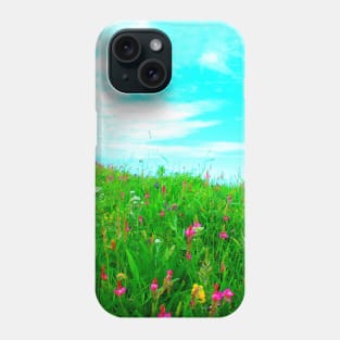 View at different plants in Piani di Ragnolo Phone Case